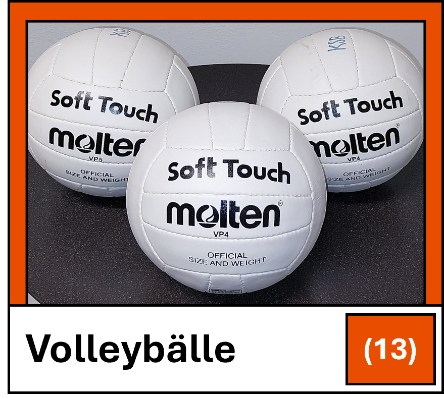 Volleyball
