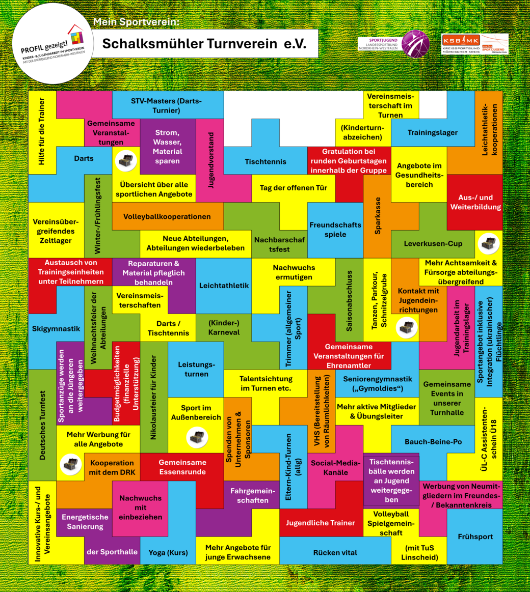 Profil des Schalksmühler TV